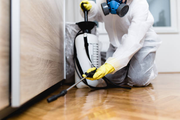  Newport, RI Pest Control Pros