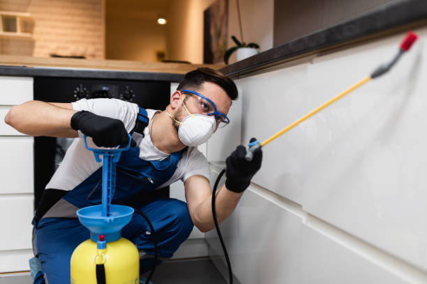 Best Affordable Pest Control Services  in Newport, RI