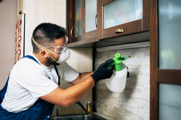 Best Wasp Removal Services  in Newport, RI