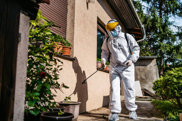 Best Insect Control  in Newport, RI