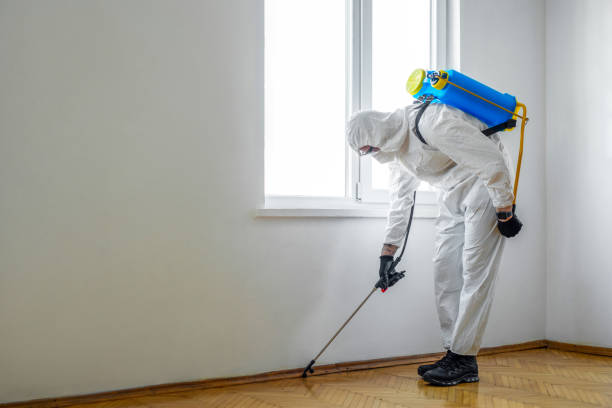 Best Flea Control Services  in Newport, RI
