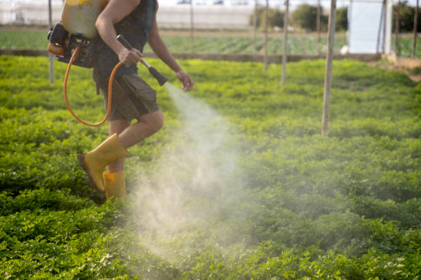 Best Affordable Pest Control Services  in Newport, RI
