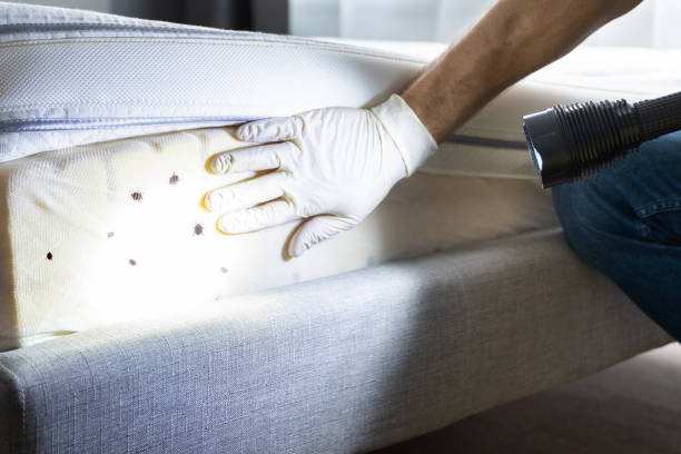 Best Affordable Pest Control Services  in Newport, RI