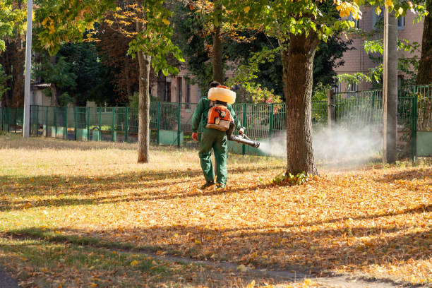 Best Residential Pest Control  in Newport, RI