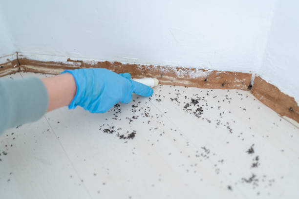 Best Pest Control Cost  in Newport, RI