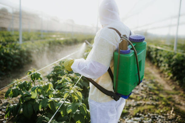 Best Pest Control Cost  in Newport, RI